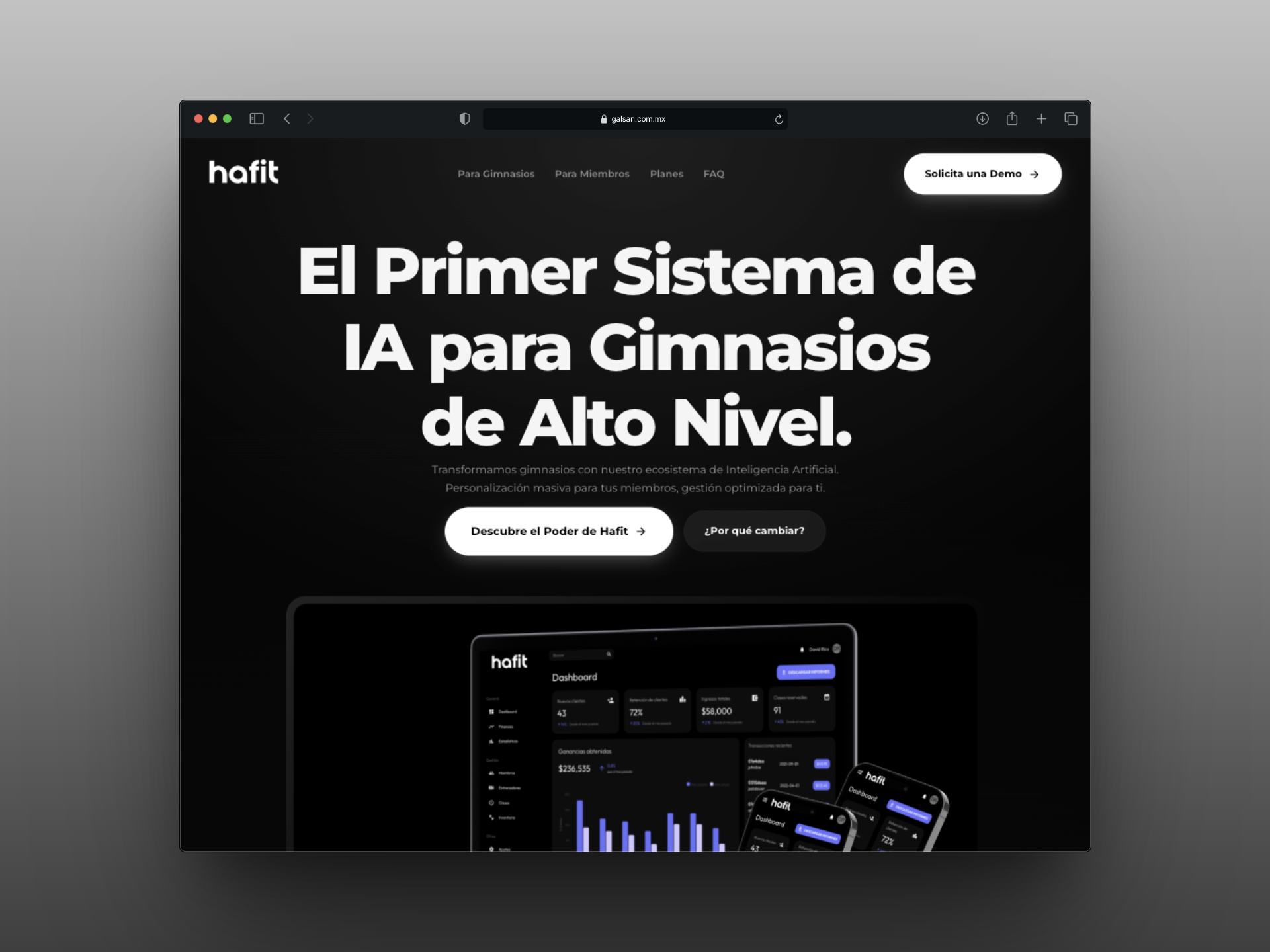 Proyecto Hafit