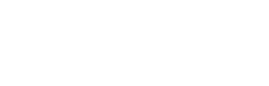 Ricco & Co. Solutions